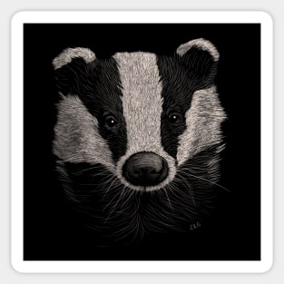 European Badger Sticker